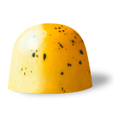 BO-0008