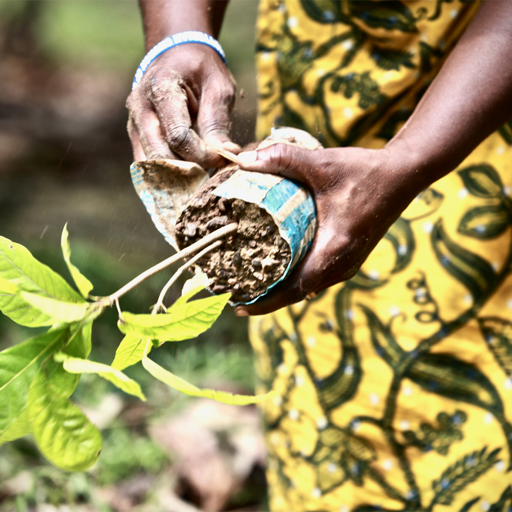 eerlijke chocolade van callebaut